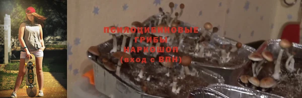 экстази Медногорск