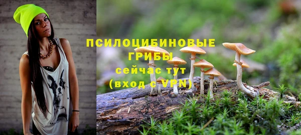 экстази Медногорск